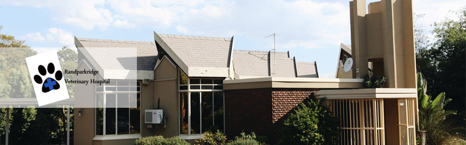 RandparkridgeVeterinaryHospital Randburg