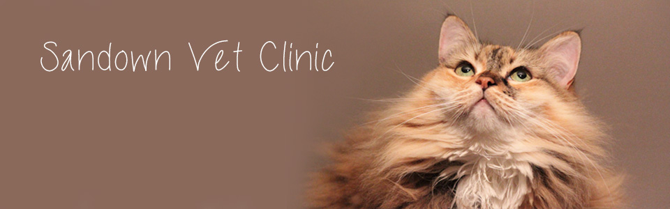 SandownVetClinic SandtonRosebank
