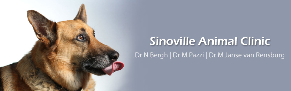 SinovilleAnimalClinic MootZambeziAkasia