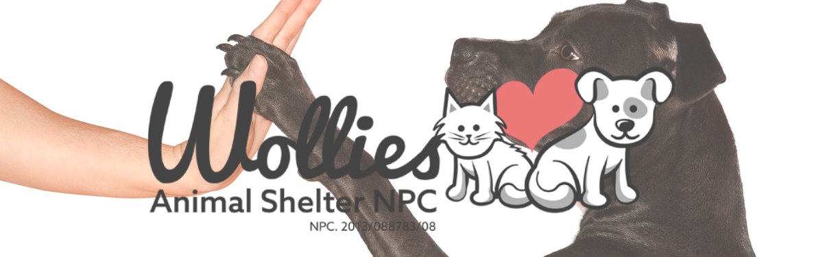WOLLIES ANIMAL SHELTER